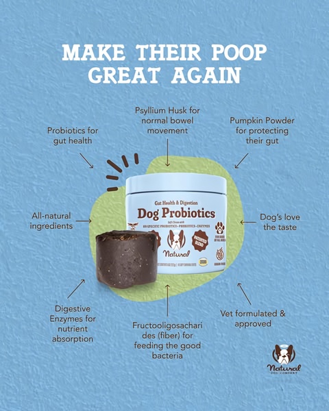 A 4:5 aspect ratio graphic for dog probiotics that uses a central product image surrounded by clear, labeled benefit points to educate pet owners on digestive health.
